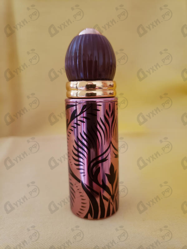 Купить Наборы от Alexandre J Парфюмерия Alexandre J Наборы