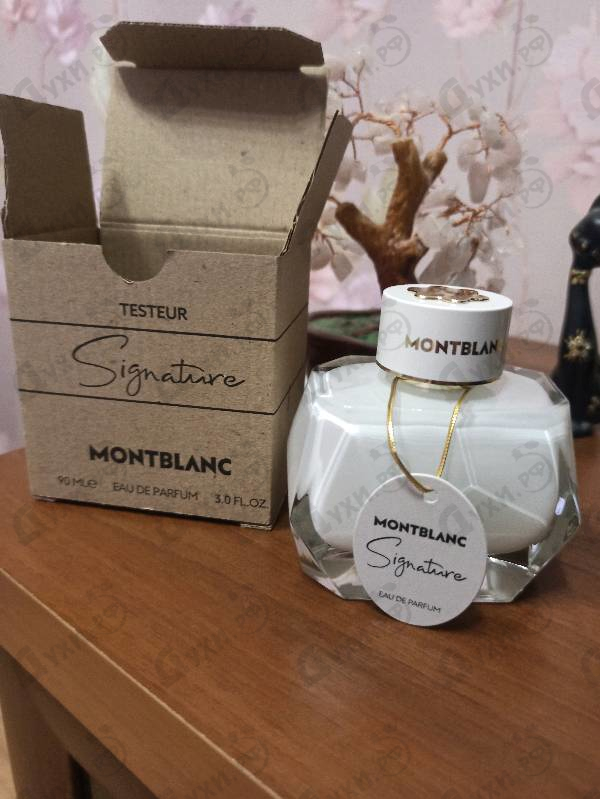 Купить Signature от Mont Blanc
