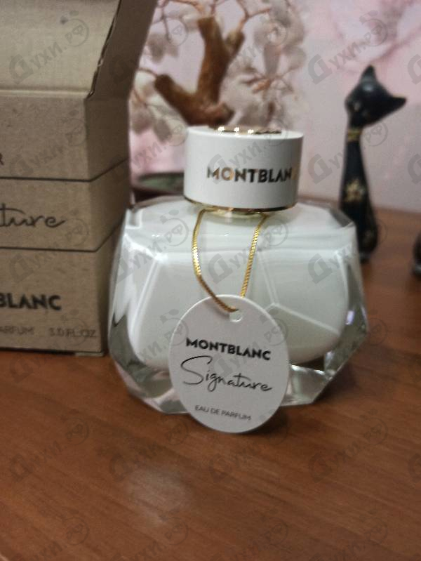 Купить Signature от Mont Blanc