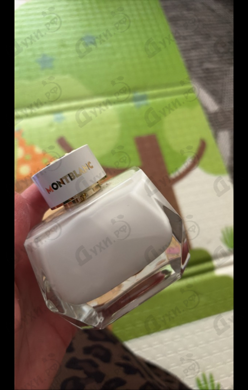 Купить Signature от Mont Blanc
