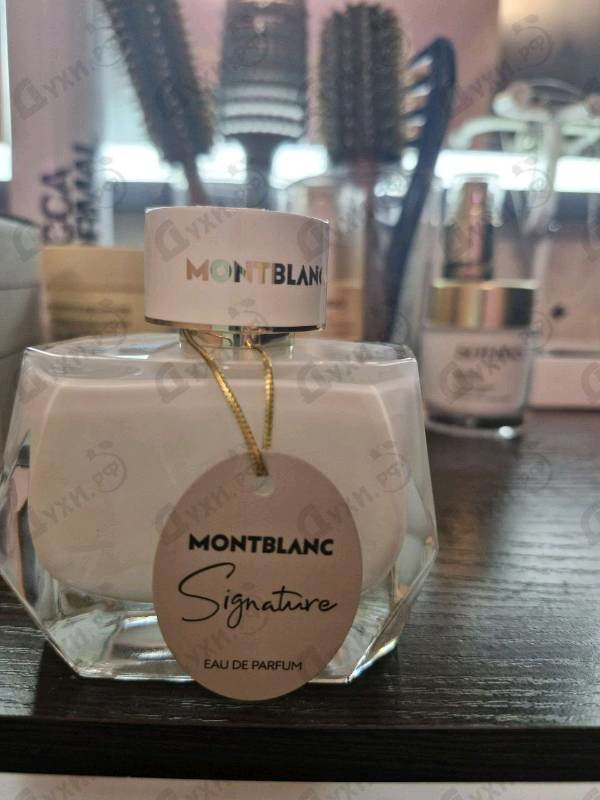 Купить Signature от Mont Blanc