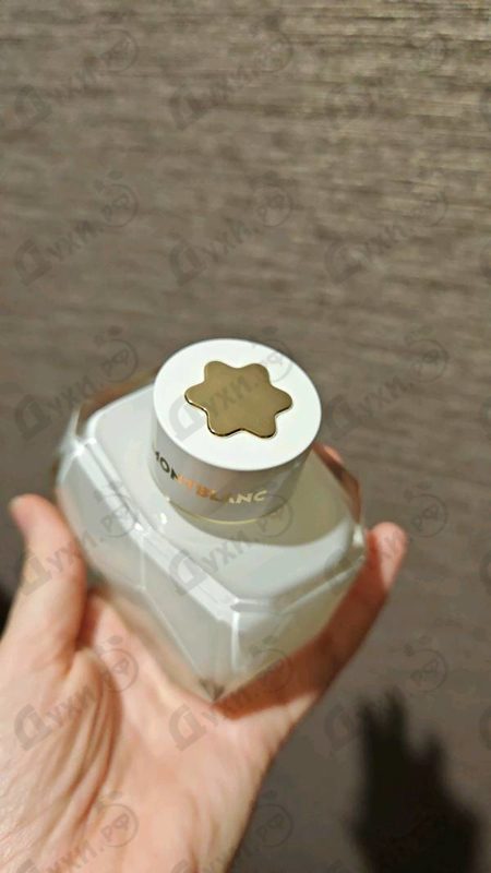 Купить Signature от Mont Blanc