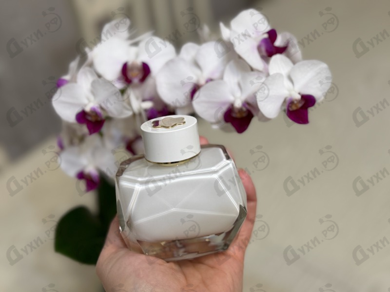 Купить Mont Blanc Signature