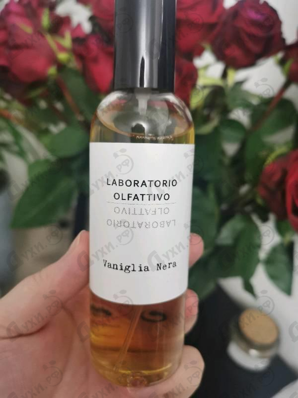 Купить Laboratorio Olfattivo Vaniglia Nera Духи Vaniglia Nera от Laboratorio Olfattivo