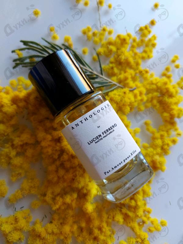 Отзывы Anthologie By Lucien Ferrero Maitre Parfumeur Par Amour