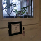 Отзыв Philly&Phill Eve Goes Eden