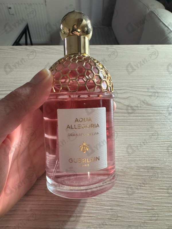Духи Aqua Allegoria Granada Salvia от Guerlain