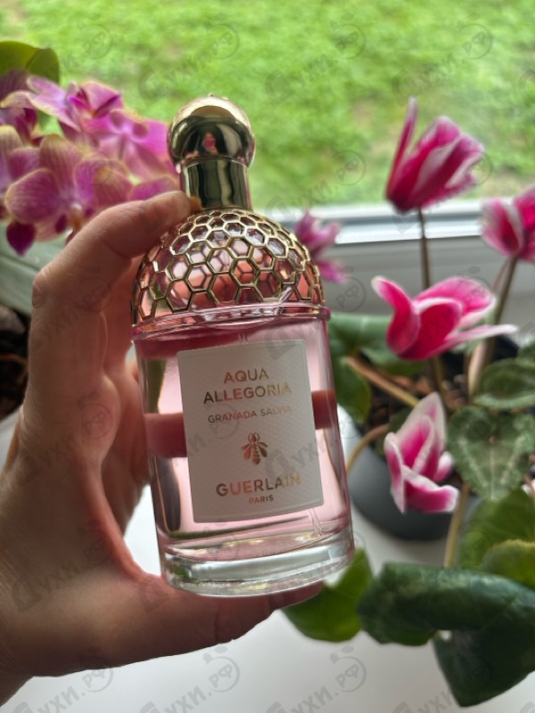 Купить Aqua Allegoria Granada Salvia от Guerlain