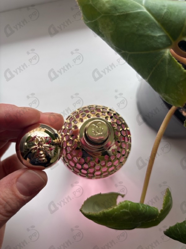 Духи Aqua Allegoria Granada Salvia от Guerlain