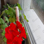 Отзывы Guerlain Aqua Allegoria Granada Salvia