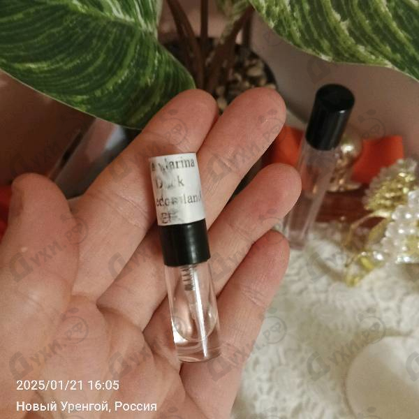 Парфюмерия Freedomland от Mandarina Duck