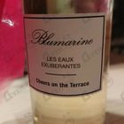 Духи Cheers On The Terrace от Blumarine