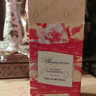 Духи Cheers On The Terrace от Blumarine