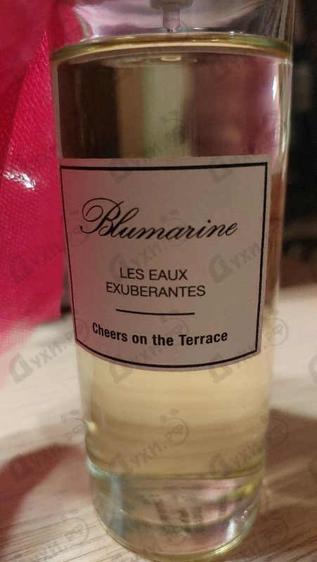 Парфюмерия Cheers On The Terrace от Blumarine