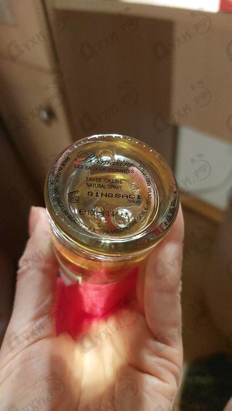 Купить Blumarine Cheers On The Terrace