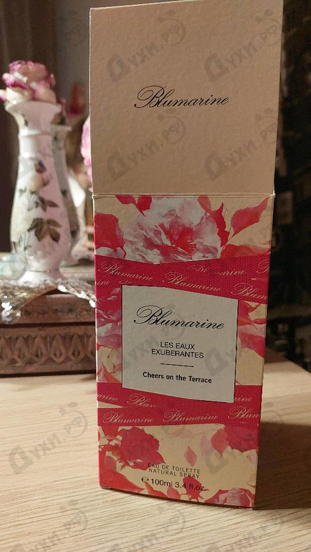 Купить Cheers On The Terrace от Blumarine