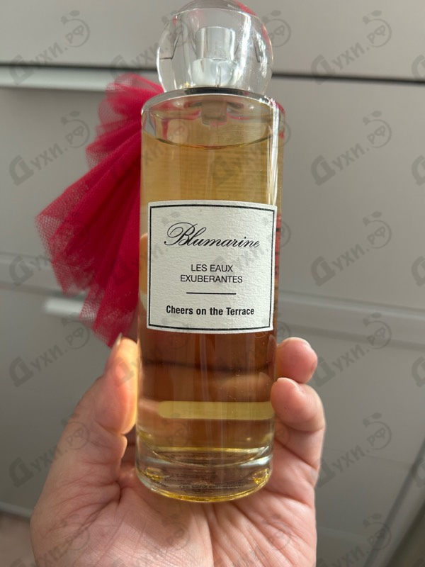 Отзыв Blumarine Cheers On The Terrace
