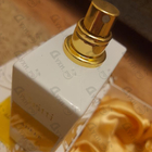 Отзывы Gritti Adele