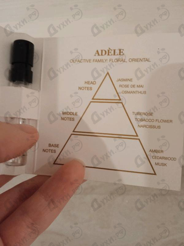 Купить Adele от Gritti