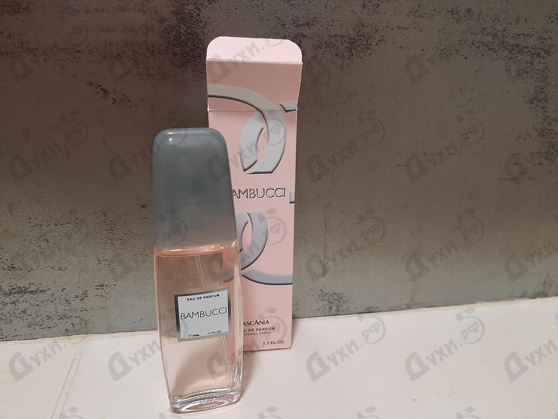 Отзывы Brocard Ascania Bambucci Купить Ascania Bambucci от Brocard