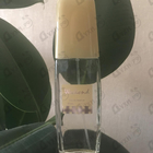 Отзывы Brocard Ascania Weekend