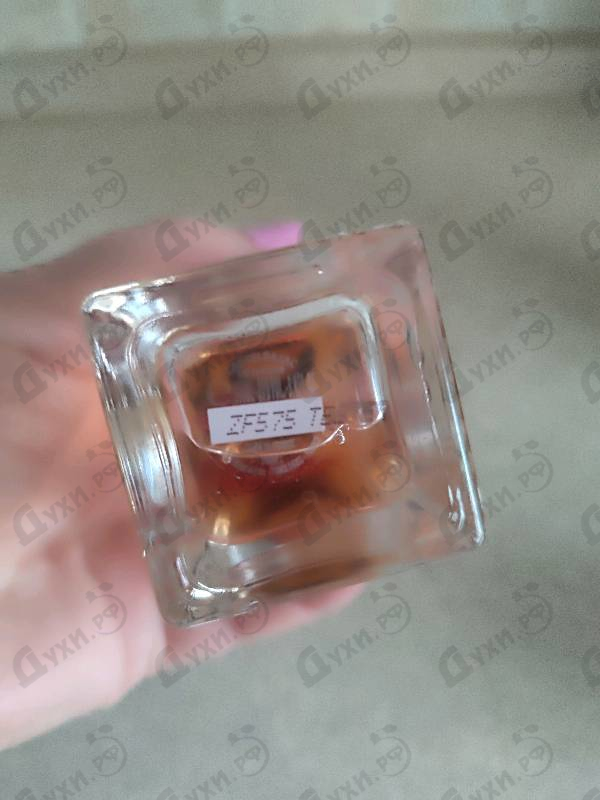 Купить Red Cherry от Castelbajac