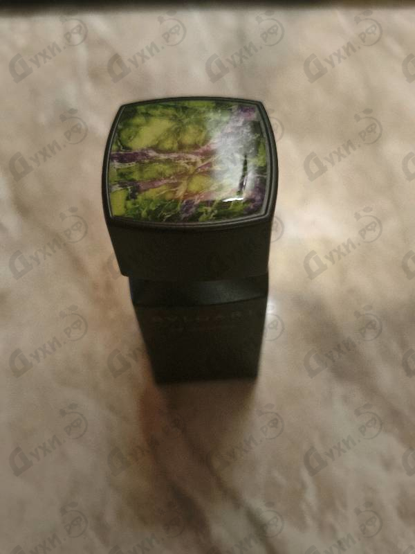Купить Kobraa от Bvlgari