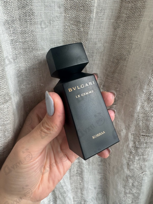 Отзыв Bvlgari Kobraa