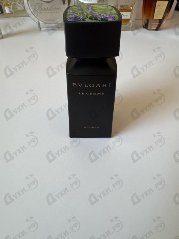 Отзывы Bvlgari Kobraa