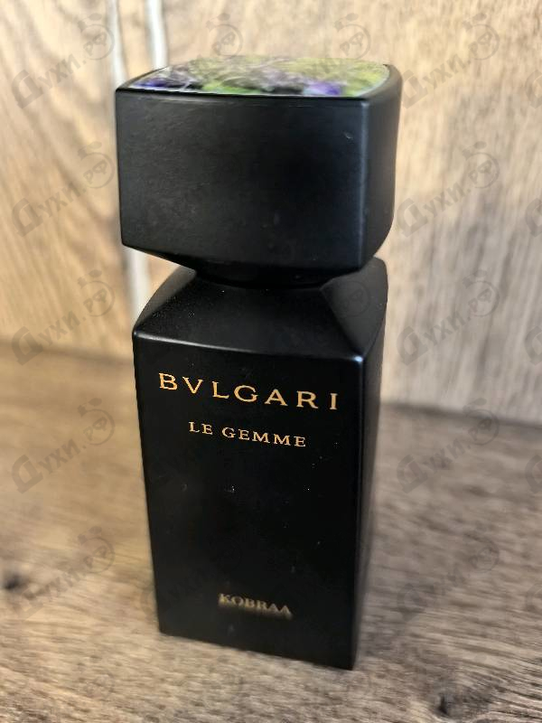 Купить Kobraa от Bvlgari