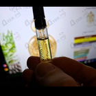 Отзыв Tiziana Terenzi Lyncis