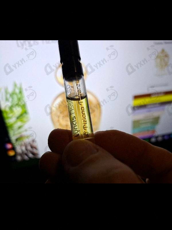 Отзывы Tiziana Terenzi Lyncis