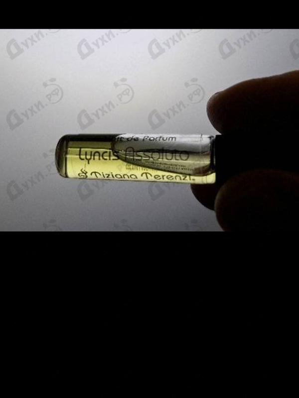 Купить Lyncis от Tiziana Terenzi