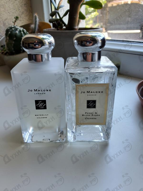 Парфюмерия Waterlily от Jo Malone