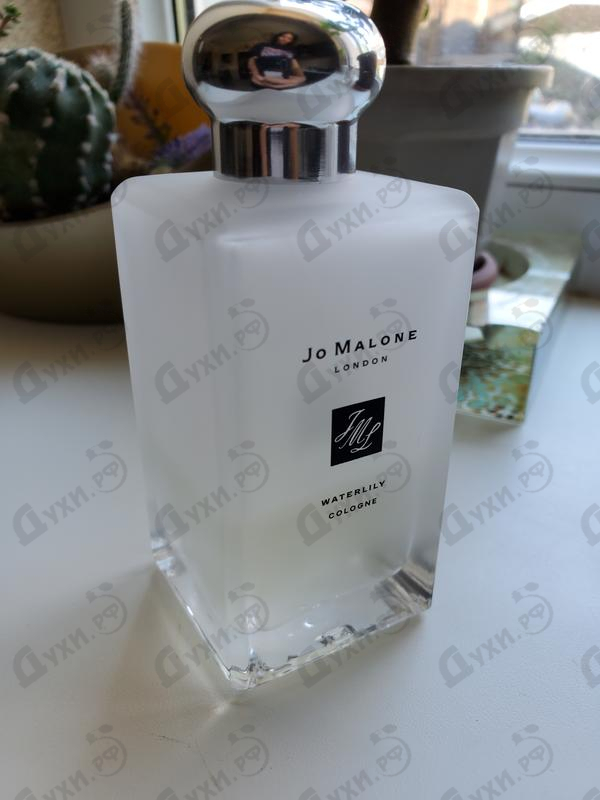 Купить Waterlily от Jo Malone Отзыв Jo Malone Waterlily