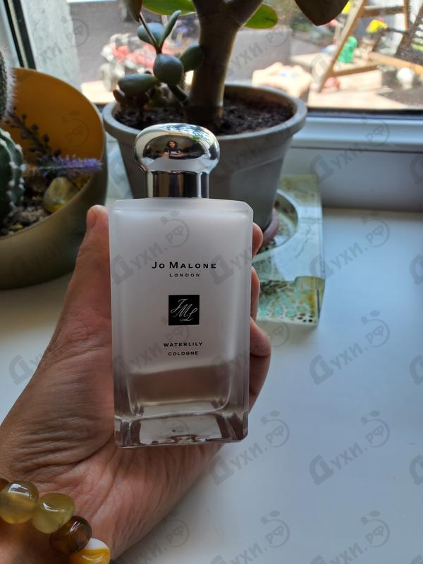 Парфюмерия Waterlily от Jo Malone Отзывы Jo Malone Waterlily