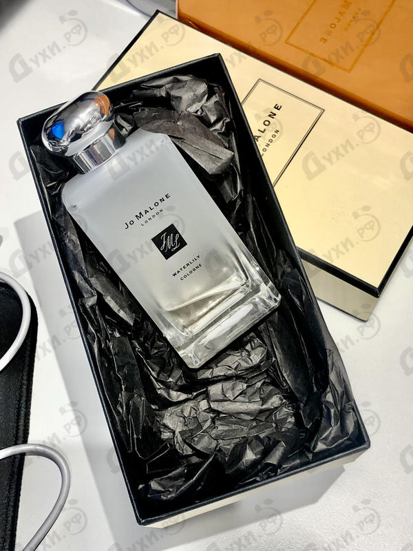 Купить Waterlily от Jo Malone