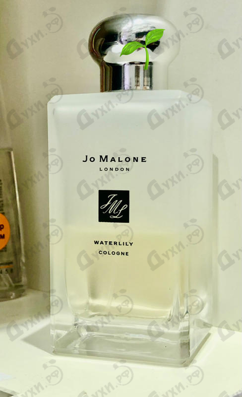 Парфюмерия Waterlily от Jo Malone