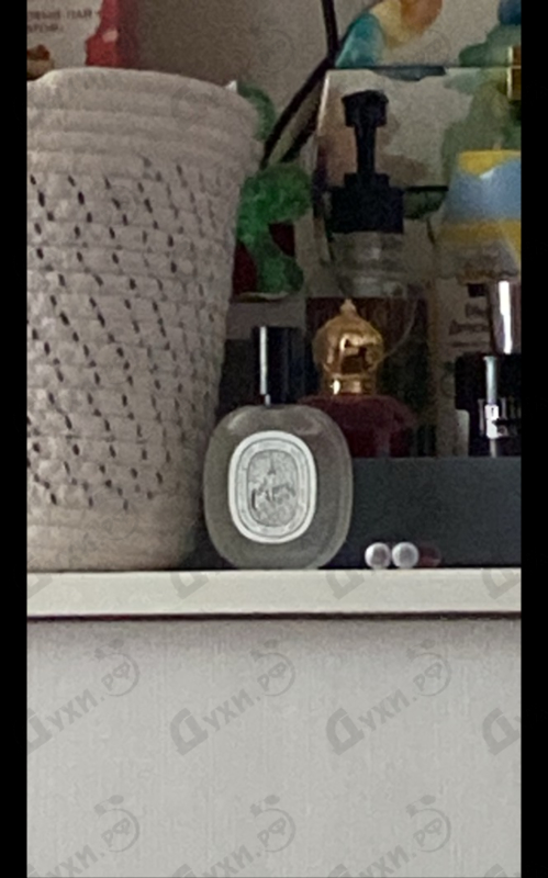 Купить Eau Capitale от Diptyque