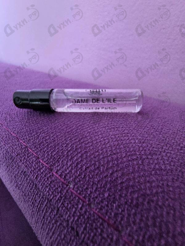 Купить Dame De L'ile от Gritti