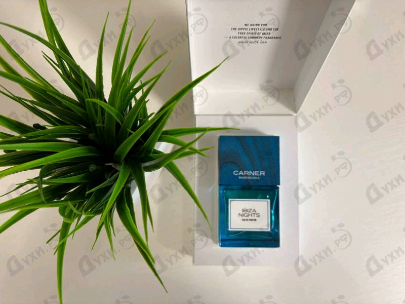 Отзывы Carner Barcelona Ibiza Nights