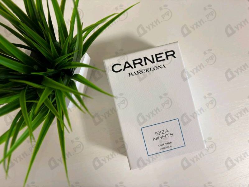 Купить Ibiza Nights от Carner Barcelona