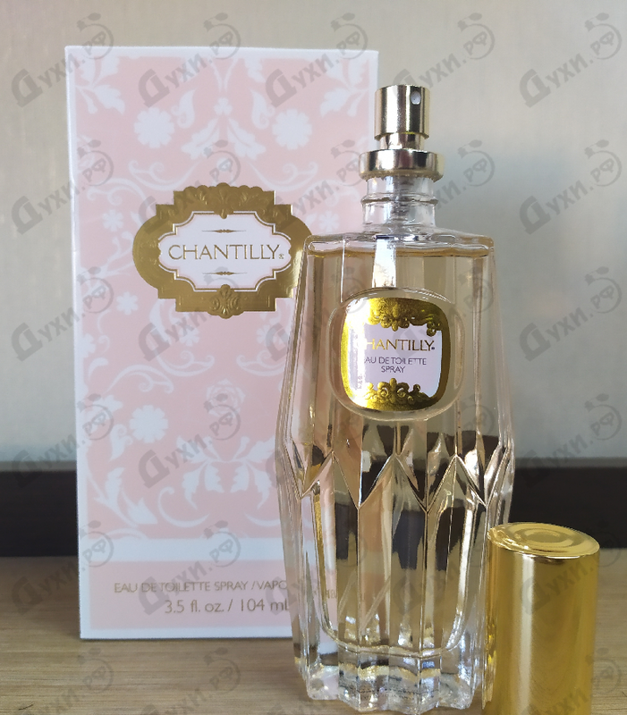 Купить Chantilly от Dana