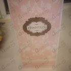 Отзыв Dana Chantilly