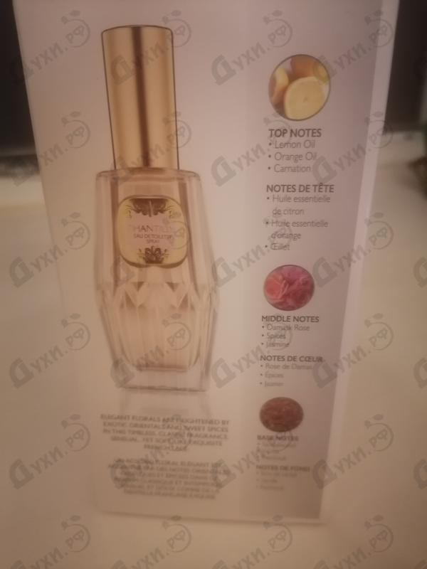 Купить Chantilly от Dana