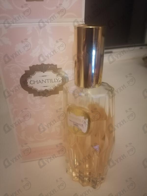 Отзывы Dana Chantilly