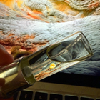 Отзыв Gritti Preludio