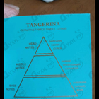 Парфюм Gritti Tangerina