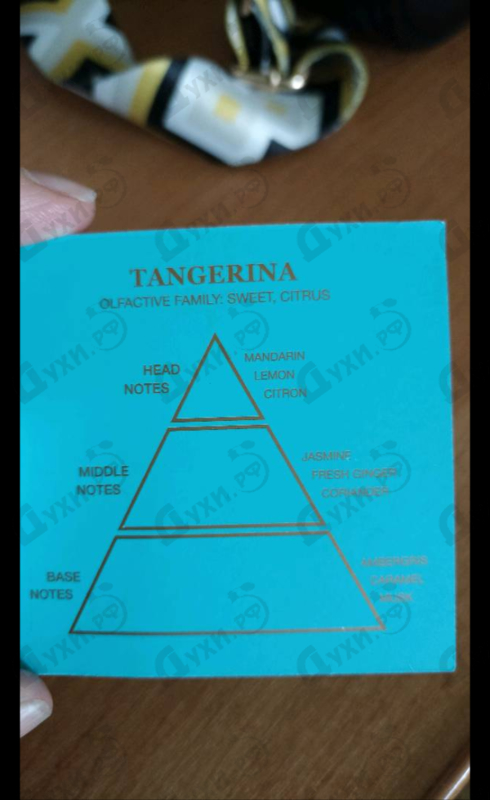 Купить Tangerina от Gritti