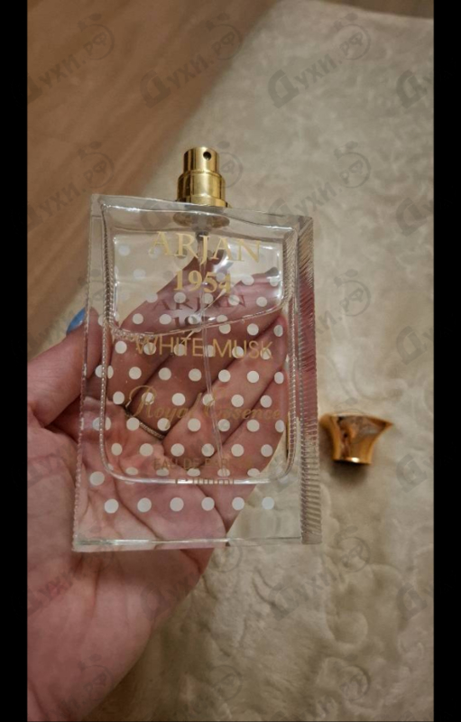 Купить Norana Perfumes Arjan 1954 White Musk